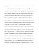 Un Ensayo: Bases y matrices curriculares que orientan la planificación docente en diferentes niveles educativos