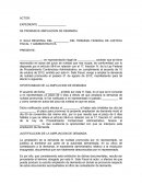 JUSTIFICACION DE LA AMPLIACION DE DEMANDA