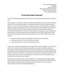 Ensayo- Crisis del Estado Protector