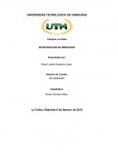 INFORMES DE INVESTIGACIÓN DE MERCADOS