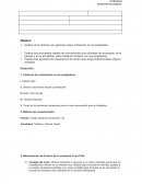 Ensayo: Fundamentos de Administracion.