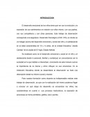 TRABAJO DESARROLLO PSICOLOGICO