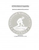 Inteligencia Emocional en un Lider