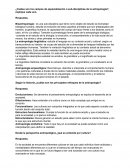 Ejemplo de ¿Cuáles son los campos de especialización o sub-disciplinas de la antropología?