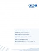 Formato de resumen, exposición de opinión o ensayo