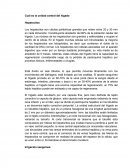 Cuál es la unidad central del hígado.