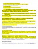 ¿A qué se debe que un material presente propiedades magnéticas?