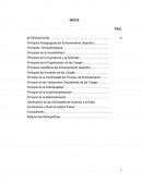 Principios Pedagógicas del Entrenamiento