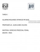 MATERIA: DERECHO PROCESAL PENAL-TAREA