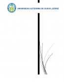 ¿Que es la macroeconomia?