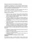 Sistemas de valuación del nivel de satisfacción del cliente