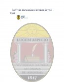 Ensayo Agnes Heller y La Vida Cotidiana