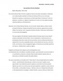 Caso práctico (Teoriza Realista)