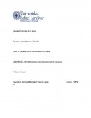 La comida japonesa y guatemalteca