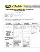 PLAN DE SEMINARIO - PLAN DE CLASE Y EVALUACIÓN DE COMUNICACIÓN Y LENGUAJE
