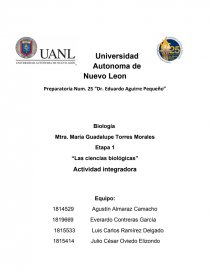 Act metacognicion etapa 4. Página 1