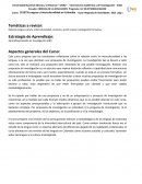 Relación lengua-cultura, interculturalidad, contexto, acción social, investigación formativa