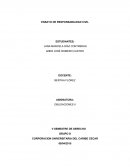 ENSAYO DE RESPONSABILIDAD CIVIL