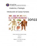 Anatomía y Fisiología Introducción al Cuerpo Humano