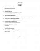 EJERCICIO No.1 PLATICOL S.A.