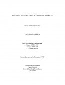 APRENDO A APRENDER EN LA MODALIDAD A DISTANCIA