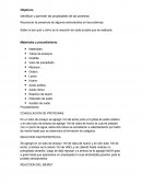 Informe de proteinas. Bioquimica