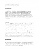 AUDITORIA - EMPRESA PROPIMSA