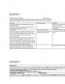 Sesiones educación física