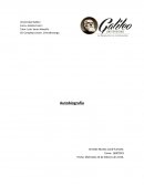 Análisis Final 1 Autobiografía