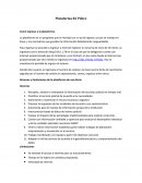 Plataforma R2 Pólice