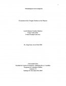 Metodología de la Investigación: El aumento de las Cirugías Estéticas en las Mujeres
