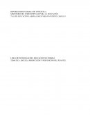 Creo y produzco y ayudo a la economía desde mi escuela