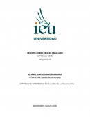 ¿Qué es el crédito comercial?