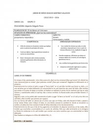 PLANEACION DE PENSAMIENTO MATEMATICO niños. Página 1