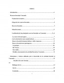 Mecanismos y técnicas utilizadas para el desarrollo de la actividad forestal en Venezuela