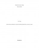 Como se da el proceso perinatal: Salud del feto y proceso de parto