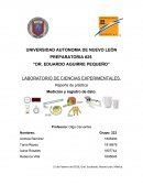 PREPARATORIA #25 “DR. EDUARDO AGUIRRE PEQUEÑO” LABORATORIO DE CIENCIAS EXPERIMENTALES