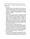 ¿Cuáles son las barreras celulares y que funciones tiene cada una?