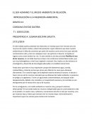 Ensayo sobre EL SER HUMANO Y EL MEDIO AMBIENTE EN RELACIÓN. INTRODUCCIÓN A LA INGENIERÍA AMBIENTAL.