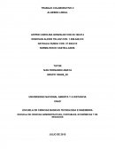 Trabajo colaborativo de sistemas de ecuaciones lineales