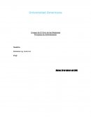 Ensayo de El Circo de las Mariposas Principios de Administración