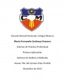 Primera Aplicación Informe de Análisis y Reflexión