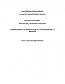 CONSECUENCIAS A LARGO PLAZO DE LA NUTRICIÓN EN LA INFANCIA
