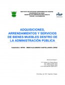 COMO SON LAS ADQUISIONES Y ARRENDAMIENTOS DEL SECTOR PUBLICO