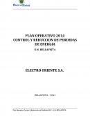 PLAN OPERATIVO 2014 CONTROL Y REDUCCION DE PERDIDAS DE ENERGIA