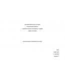 Estructura social y comportamiento humano