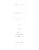 Analisis vertical Programa de Negocios Internacionales