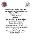 Ensayo de la importancia del español