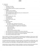 Descaripcion comunicacion /sistema GSM