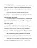 La planeación estratégica es un proceso en el cual se declaran los valores de una empresa